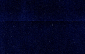 Dainel Original - Navy