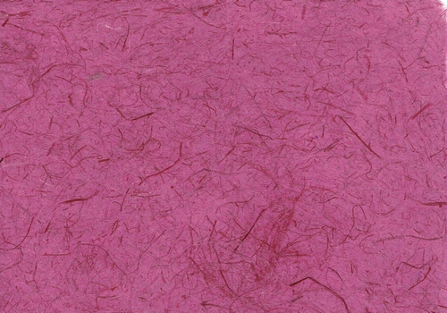Gampi fuchsia