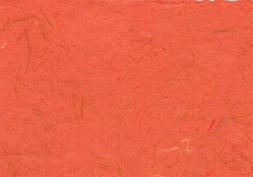 Gampi oranje