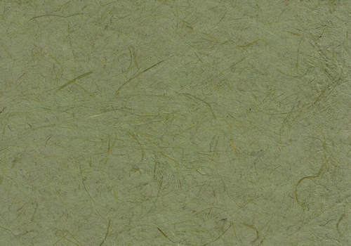 Gampi olivgrün