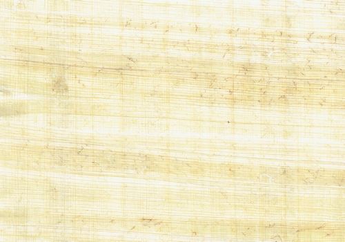Papyrus naturel