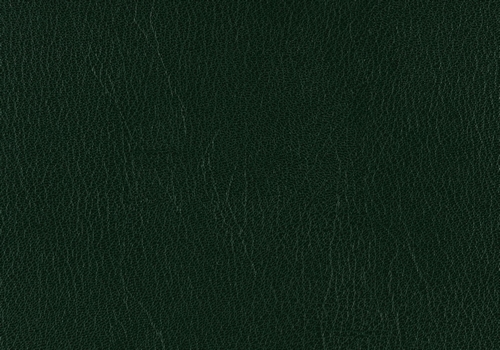 Skivertex Ubonga green