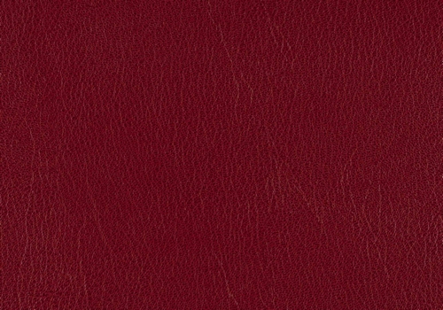 Skivertex Ubonga red