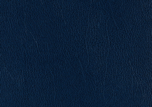 Skivertex Ubonga blauw