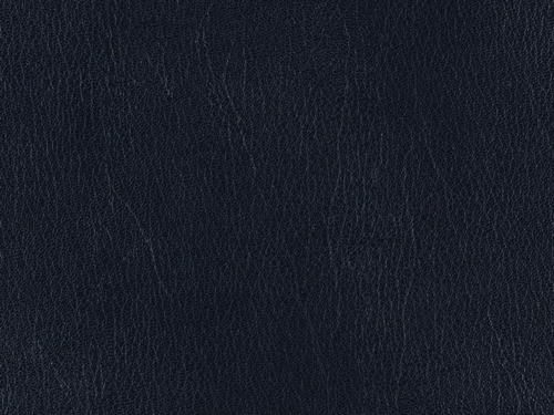 Skivertex Ubonga marine
