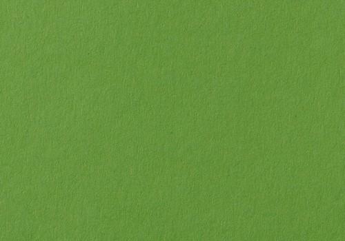 Photo cardboard grass green