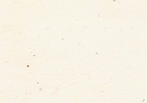 Lokta naturel
