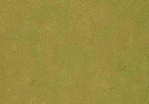 Lokta olive