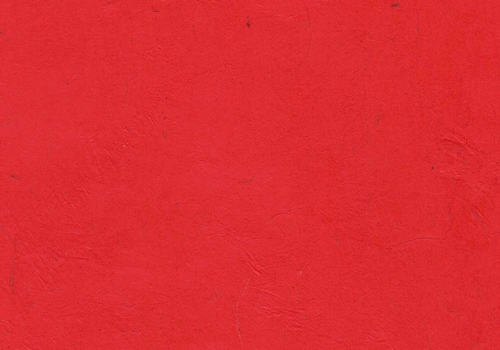 Lokta rot