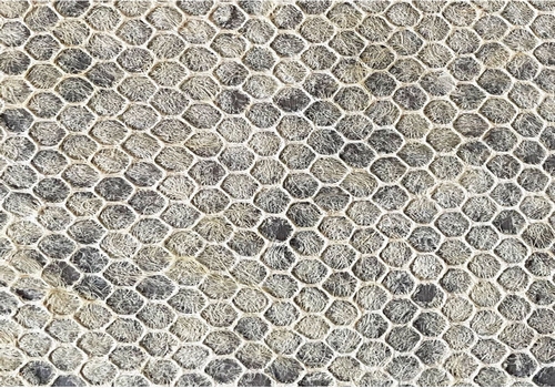 Agave honeycomb