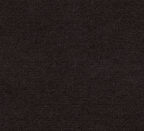 Ingres Black