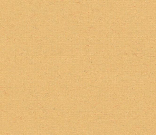 Ingres Orange
