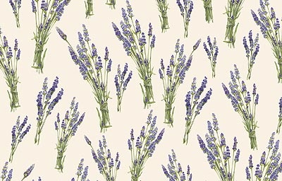 Mazzetti di Lavanda