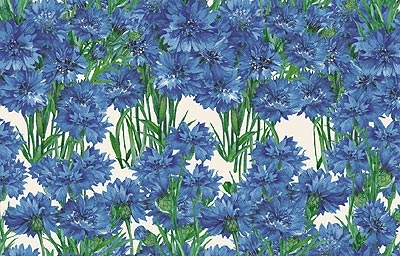Fiordaliso