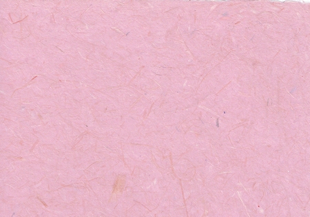 Gampi rosa