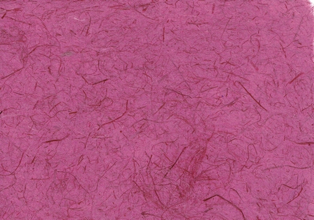 Gampi fuchsia