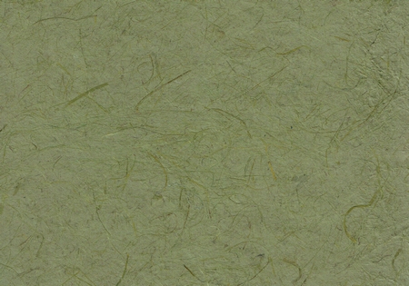 Gampi olivgrün