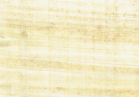 Papyrus Natural