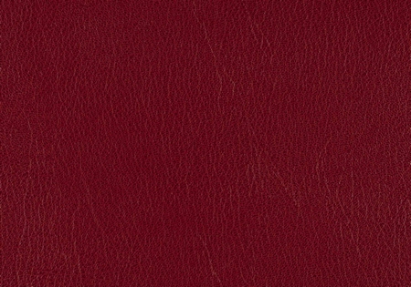 Skivertex Ubonga rot
