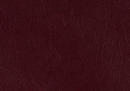 Skivertex Ubonga bordeaux