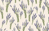 Mazzetti di Lavanda
