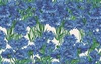 Fiordaliso